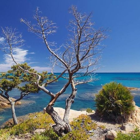 Villa Vera Trifamigliare Con Ingresso Diretto 20 Mt Al Mare Clima Wi-Fi Bbq Cala Liberotto Eksteriør billede