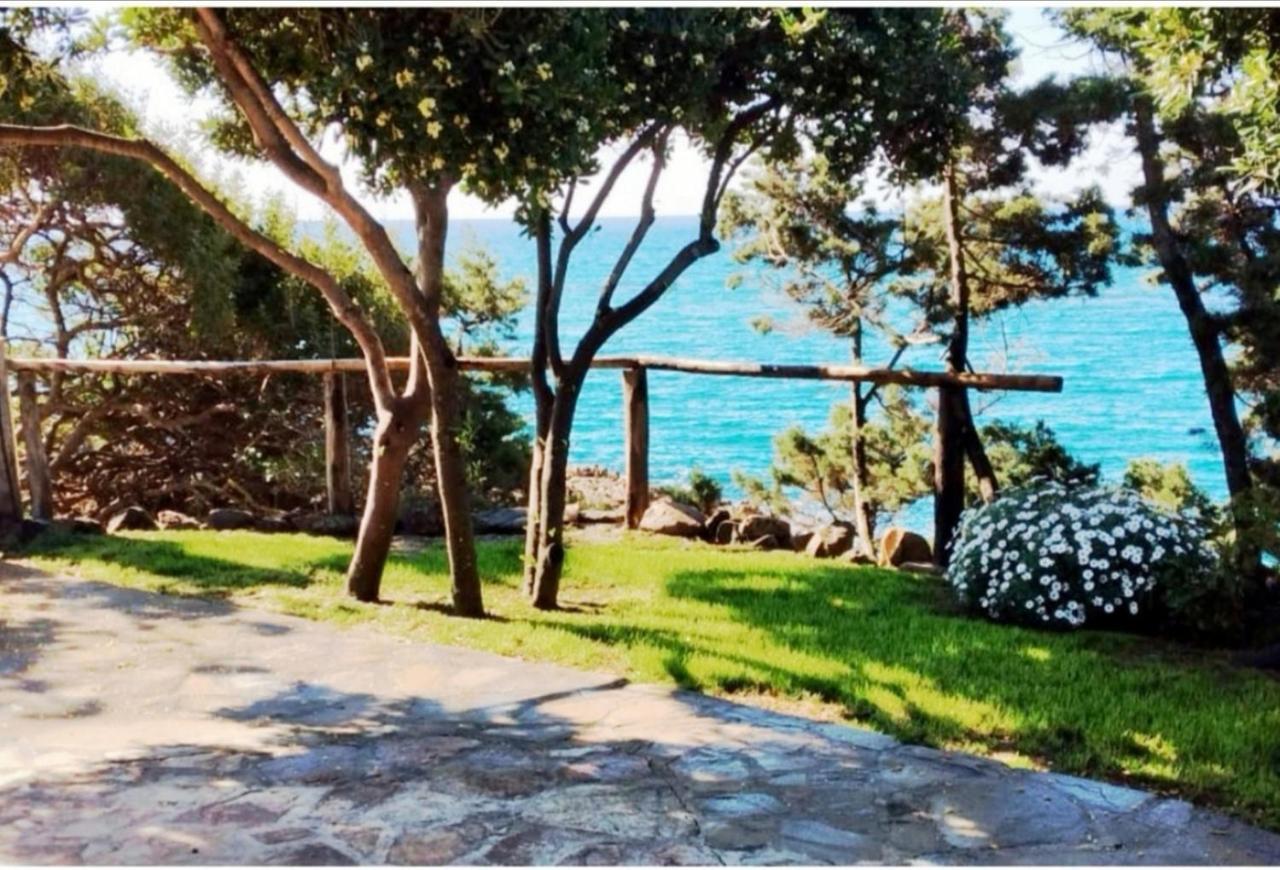 Villa Vera Trifamigliare Con Ingresso Diretto 20 Mt Al Mare Clima Wi-Fi Bbq Cala Liberotto Eksteriør billede