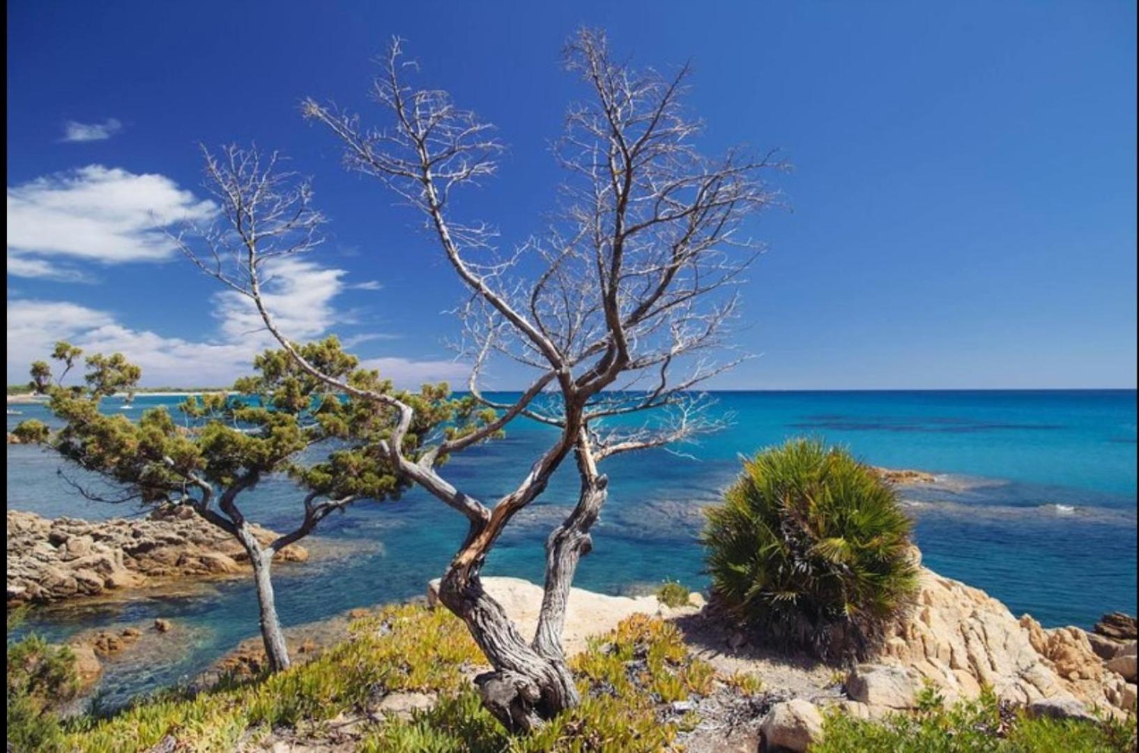 Villa Vera Trifamigliare Con Ingresso Diretto 20 Mt Al Mare Clima Wi-Fi Bbq Cala Liberotto Eksteriør billede